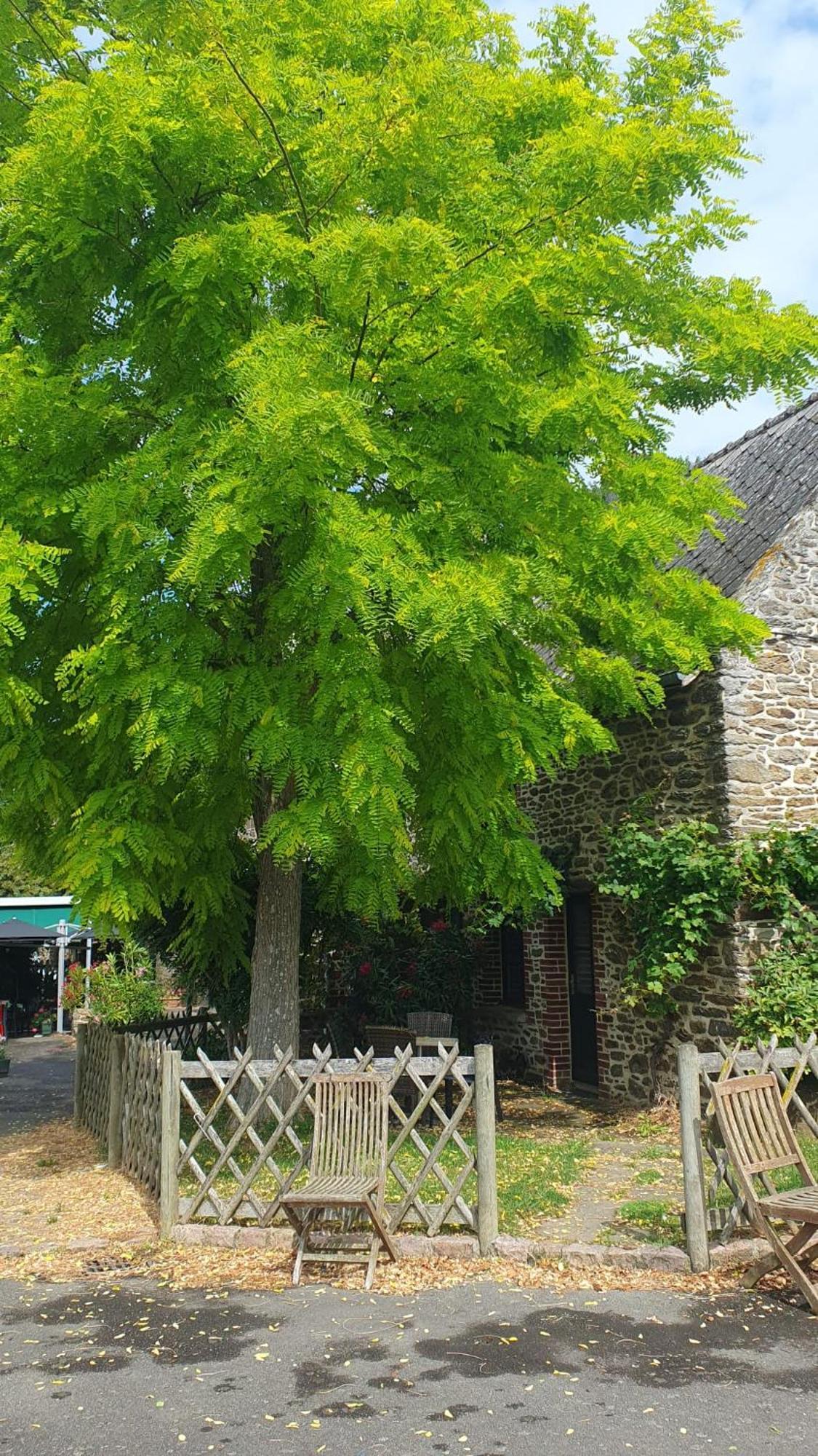 L'Auberge De La Porte Saint-Jouan-des-Guérets Buitenkant foto